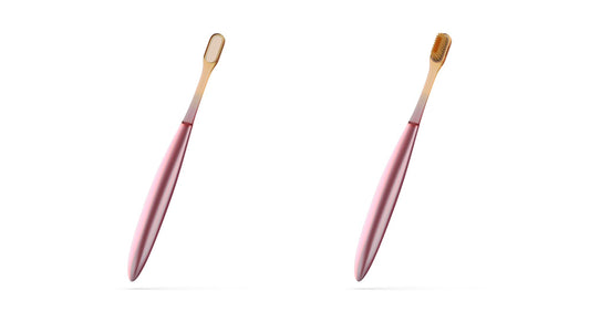 Whistle Toothbrush Peachy Pink